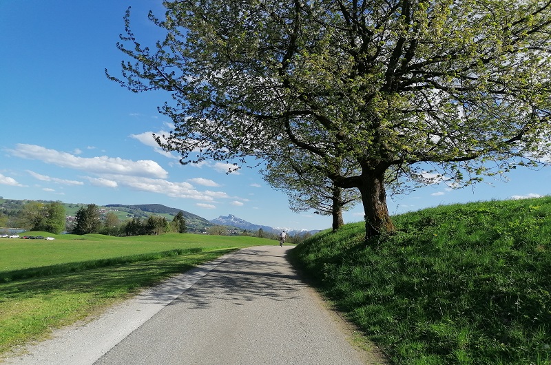 Genuss-Radl'n in Südtirol